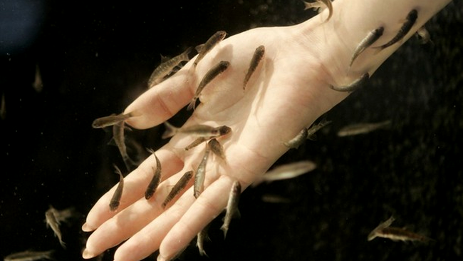 manichiura garra ruffa