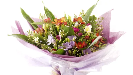 (P) Buchet de primăvară cu 49 frezii multicolore – ofertă limitată