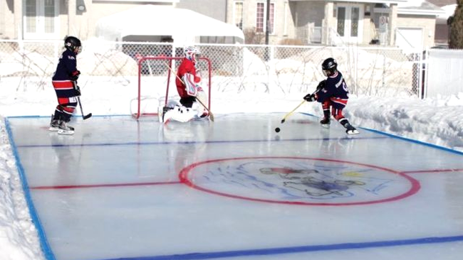 Teren de hochei personalizat