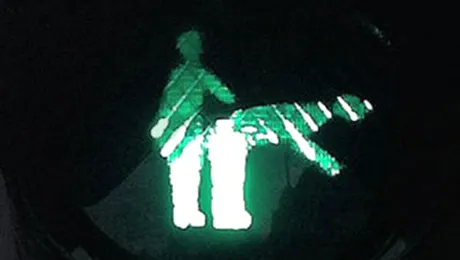 Ultima „gluma” a hackerilor olandezi: Semaforul pentru adulti!