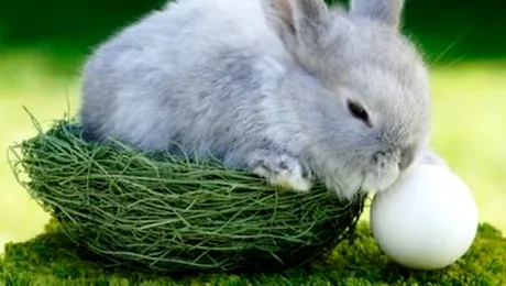 Mai mult de jumatate dintre romani spun adio primelor de Pasti!