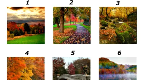TEST: Alege una dintre imagini şi vei afla ce se întâmplă în viaţa ta, în această toamnă