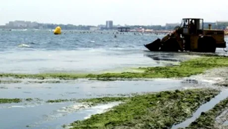 Sejur la Marea Neagra, cu alge verzi incluse in pret