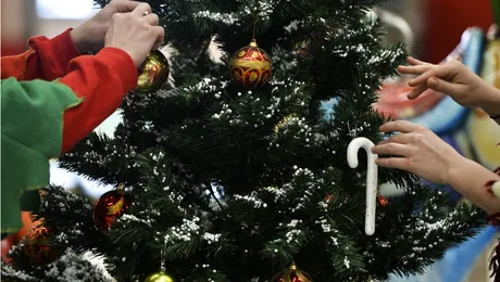 Ce fac vedetele Prima TV de Crăciun!