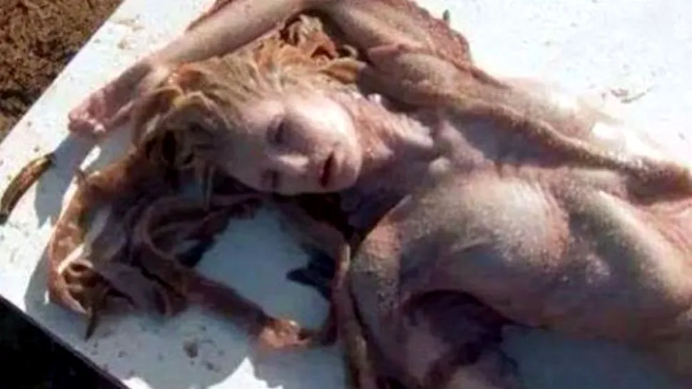 O sirenă moartă, descoperită pe o plajă din Mexic 