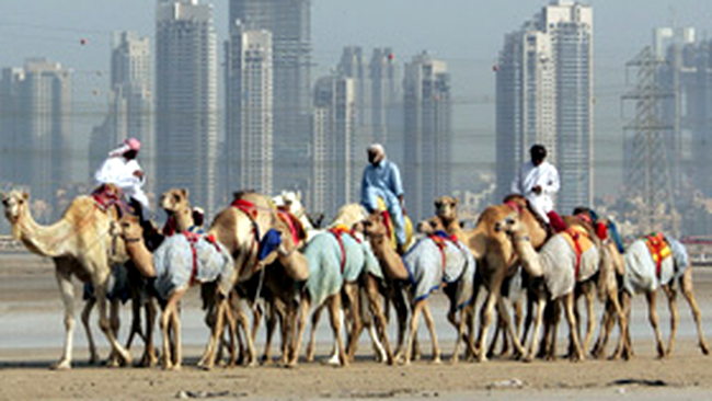Camila din Dubai, la mare pret!