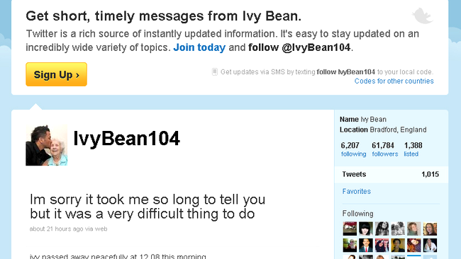 ivy bean twitter