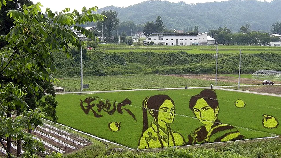 Opera de arta pe plantatia de orez! (poze)