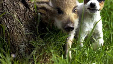 Cand prietenia e mai presus de toate, nimic nu-i mai desparte (Poze)
