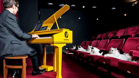 Miauzic – Pianul cu ultrasunete pentru pisici (Video & Poze)