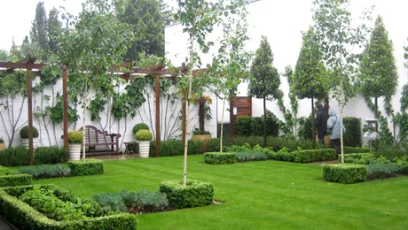 Afla cum poti sa iti amenajezi un spatiu de vis, chiar si pe bloc