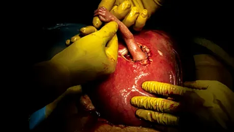 Top 12: Fotografii care au schimbat lumea