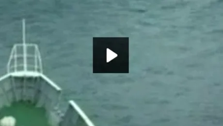 Cum s-a vazut tsunami-ul din Japonia, filmat de pe mare (Video)