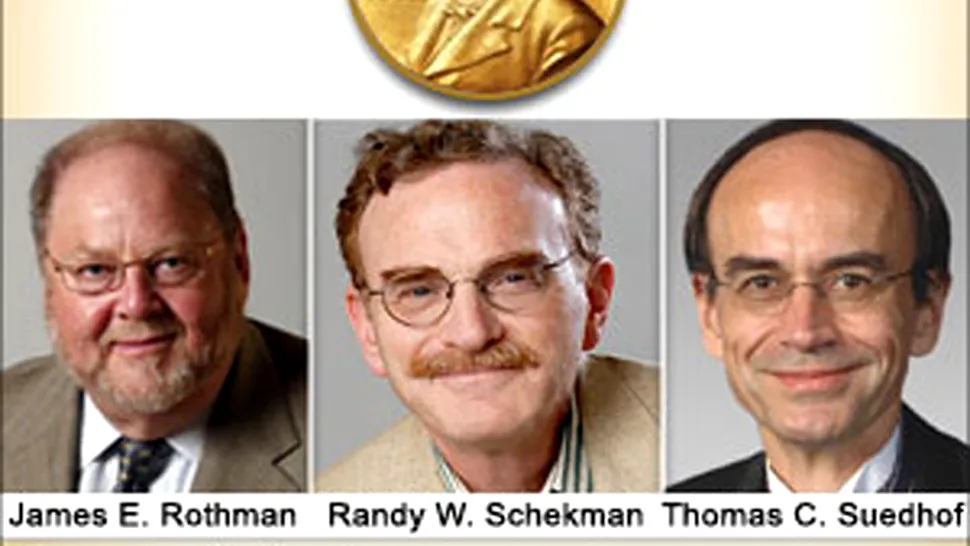 Au fost declarați câștigătorii Premiului Nobel pentru Medicină 2013