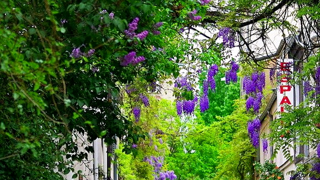 Rue Des Thermopyles, Paris, Franța