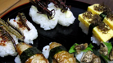 Radu Vâlcan se hrănește cu gândaci și supă tom yum în Thailanda