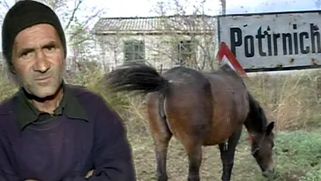 Zoofil de Romania: A „iubit” o iapa, o magarita si o gasca, dar pofteste si la o iepuroaica!