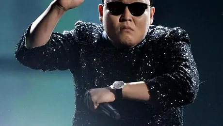 Topul clipurilor virale din 2012 (Video)