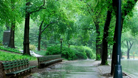 Vremea.Apropo.ro: Prognoza meteo pentru vineri, 16 mai 2014