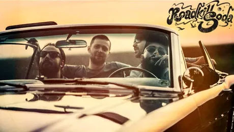 Roadkill Soda, alături de Triggerfinger la Festivalul Shine 2015 de la Bucureşti