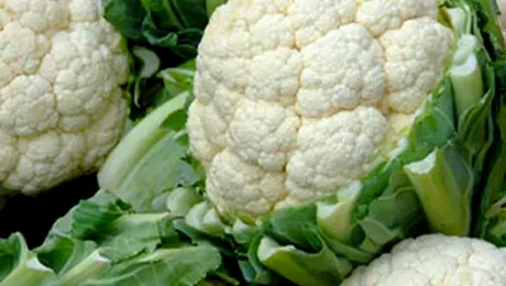 Conopida ajută la detoxifierea organismului