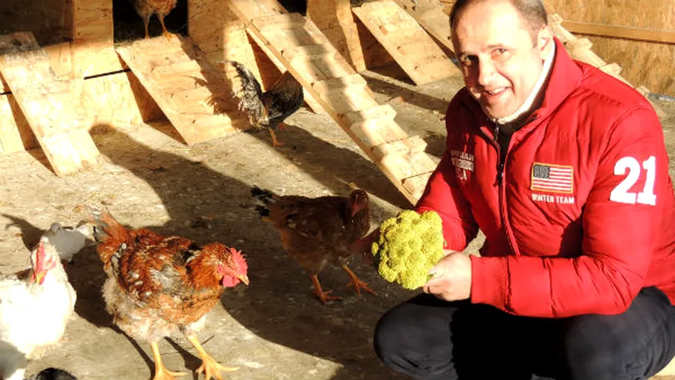 
Grig Chiroiu îşi hrăneşte găinile cu broccoli
