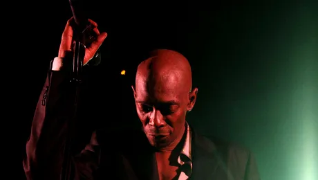 Faithless va canta la B’estfest 2010