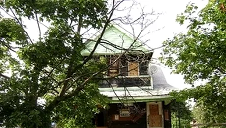 Ursul pacalit de vulpe