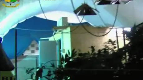 340 de kilograme de marijuana descoperite într-un tunel subteran din Roma (Video)