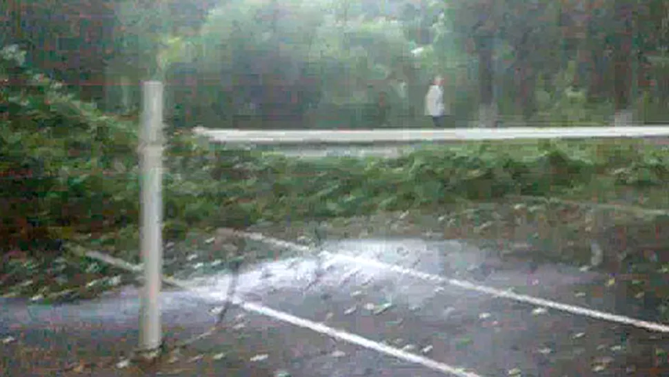 Copac cazut langa fileu, pe terenul unde niste braileni jucau fotbal-tenis (Video)