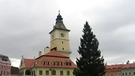 Bradul din Piata Sfatului din Brasov s-a prabusit