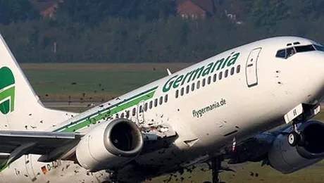 Peste 200 de pasari au impiedicat zborul unei curse aeriene (Poze)