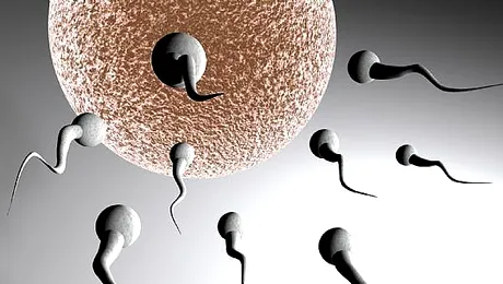 A murit în timp ce dona… spermă!