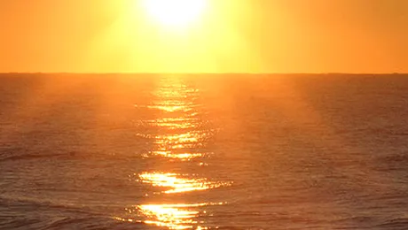 10 citate pentru a însenina ziua cuiva