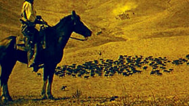 Filmele rare vor fi disponibile online