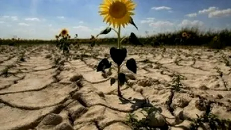 Livrarile de energie vor fi reduse cu 30%, din cauza secetei