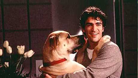 Cine pe cine iubeşte