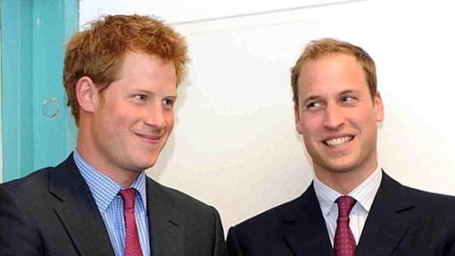 Printul Harry si Printul William 