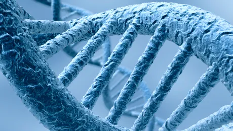 În viitor, oamenii ar putea trăi 500 de ani