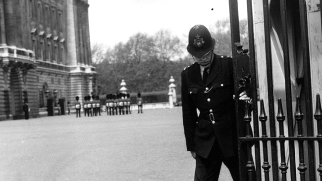 Rațe la Palatul Buckingham