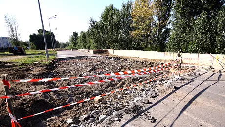 Un bucurestean planteaza legume pe o strada castigata pe bune