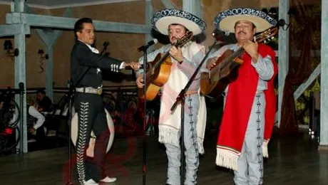 Muzica, vedete si atmosfera relaxata la Premiile VIP! (foto&video)