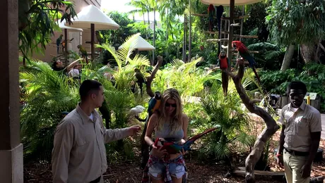 Andreea Bănică, sejur exotic la Miami