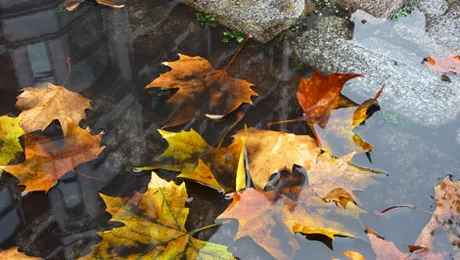 Prognoza meteo până pe 24 noiembrie 2013