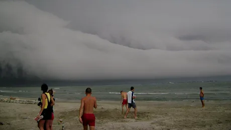 Mamaia a supravietuit caniculei