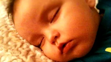 El este Nicholas, fiul Elenei Gheorghe