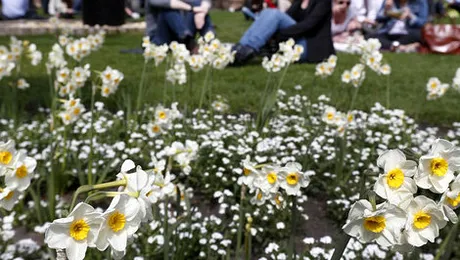 Vremea.Apropo.ro: Prognoza meteo pentru vineri, 14 martie