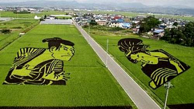 Opera de arta pe plantatia de orez