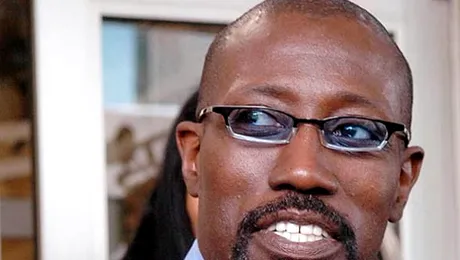 Wesley Snipes risca trei ani de inchisoare