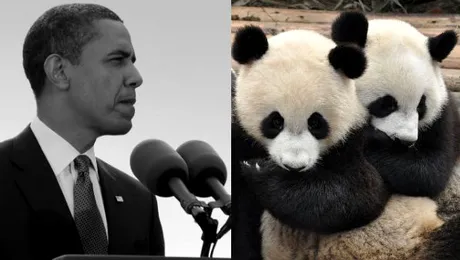 Noutăţi la BBC Knowledge în luna martie